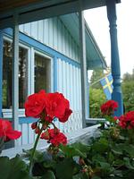 Blaues Sommerhaus in Schweden (Haus 2) - Top-Hundeurlaub