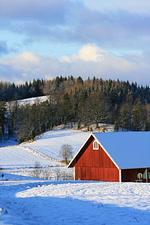 Blaues Sommerhaus in Schweden (Haus 2) - Top-Hundeurlaub