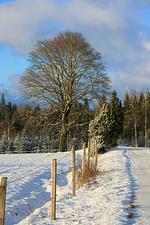 Blaues Sommerhaus in Schweden (Haus 2) - Top-Hundeurlaub