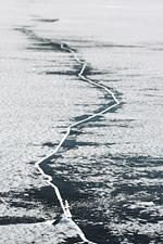 Blaues Sommerhaus in Schweden (Haus 2) - Top-Hundeurlaub