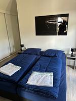 Chalet IJsselNest mit Zaun Haus Nr. 416 - Top-Hundeurlaub