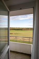 Landschaft - Ferienwohnung Hooge 30 - Top-Hundeurlaub