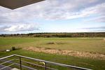 Landschaft - Ferienwohnung Hooge 30 - Top-Hundeurlaub