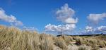 Ferienbutze Ameland - Top-Hundeurlaub