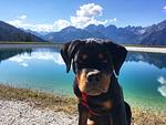 Oskar Apartments Alban, Wohnung mit eingezäunten Garten in den Bergen! - Top-Hundeurlaub