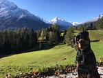 Oskar Apartments Alban, Wohnung mit eingezäunten Garten in den Bergen! - Top-Hundeurlaub