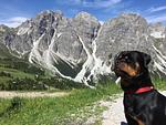 Oskar Apartments Alban, Wohnung mit eingezäunten Garten in den Bergen! - Top-Hundeurlaub