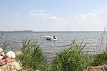 Strand - Haus: idyllische Lage mit Garten - Top-Hundeurlaub