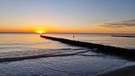 Strand - Sterntaucher App 1 - Top-Hundeurlaub