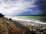 Strand - Bernstein - Top-Hundeurlaub