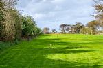 Garten - Ferienwohnung Silbermöwe - Top-Hundeurlaub