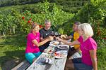 Welterbesteig Wachau  - Top-Hundeurlaub