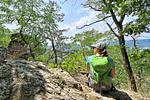Welterbesteig Wachau  - Top-Hundeurlaub