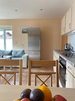 Küche / Küchenzeile - Ferienwohnung Sonnenblume mit Infrarotkabine - Top-Hundeurlaub