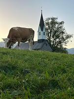 Ferienwohnung Sonnenblume mit Infrarotkabine - Top-Hundeurlaub
