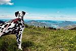 Zehn-Seen Trekking - Top-Hundeurlaub