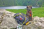 Lechweg Wanderung  - Top-Hundeurlaub