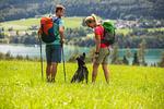 Wanderung Reschensee - Kalterer See  - Top-Hundeurlaub