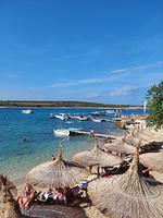 Ferienwohnung Amy - Top-Hundeurlaub