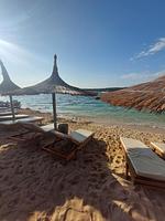 Ferienwohnung Amy - Top-Hundeurlaub