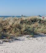 Strand - Whg. 120 inkl. WLAN - Top-Hundeurlaub
