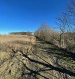 Baumhaus Nord-Deutschland im Ostsee Baumhaushotel Schleswig-Holstein - Top-Hundeurlaub