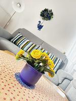 Wohnung Weitblick - Top-Hundeurlaub