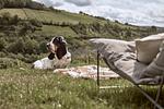 MANA LISA Boutiquehotel - Top-Hundeurlaub
