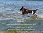 Holla die Boddenfee - Urlaub mit Meerblick & Terrasse - ohne Zusatzkosten für Hundegäste - Top-Hundeurlaub