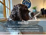 Holla die Boddenfee - Urlaub mit Meerblick & Terrasse - ohne Zusatzkosten für Hundegäste - Top-Hundeurlaub