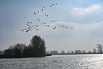 Landschaft - - Eiderlodge 2 Hundefreundlich - Top-Hundeurlaub