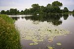 Landschaft - - Eiderlodge 2 Hundefreundlich - Top-Hundeurlaub