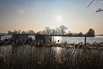 Landschaft - - Hausboot 1 Hundefreundlich - Top-Hundeurlaub