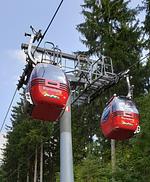 Feriendomizil Tannenhof - Top-Hundeurlaub