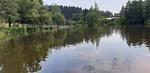 Feriendomizil Tannenhof - Top-Hundeurlaub