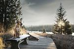 Feriendomizil Tannenhof - Top-Hundeurlaub