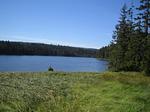 Feriendomizil Tannenhof - Top-Hundeurlaub