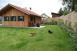 Ferienhaus Nationalpark Luchs  - Top-Hundeurlaub