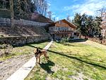 Top Lage - Haus Monte Legno - am Comer See - eigener Pool - eingezäunter Garten  - Top-Hundeurlaub