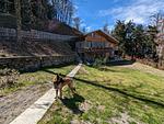 Top Lage - Haus Monte Legno - am Comer See - eigener Pool - eingezäunter Garten  - Top-Hundeurlaub