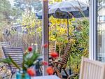 Terrasse - Bungalow Sonneninsel - Top-Hundeurlaub