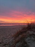 Strand - Haus Barnheide, Whg. Strandkorb - Top-Hundeurlaub