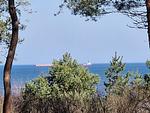 Landschaft - Lieblingssuite am Strand - Top-Hundeurlaub