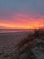 Strand - Seepark, Whg. 703 - Top-Hundeurlaub