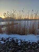 Landschaft - Seepark, Whg. 703 - Top-Hundeurlaub