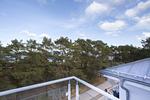 Balkon - Ostseeresidenz Gorki Park, Whg. 19 - Top-Hundeurlaub