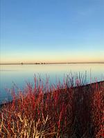 Eingezäunte traumhafte EG Wohnung direkt am Wasser mit Hund - Top-Hundeurlaub
