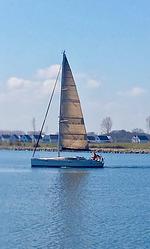 Eingezäunte traumhafte EG Wohnung direkt am Wasser mit Hund - Top-Hundeurlaub