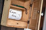 Dekoratives Detail - Kleiner Wagen - Top-Hundeurlaub
