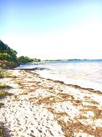 Kajüte 5a  - Top-Hundeurlaub